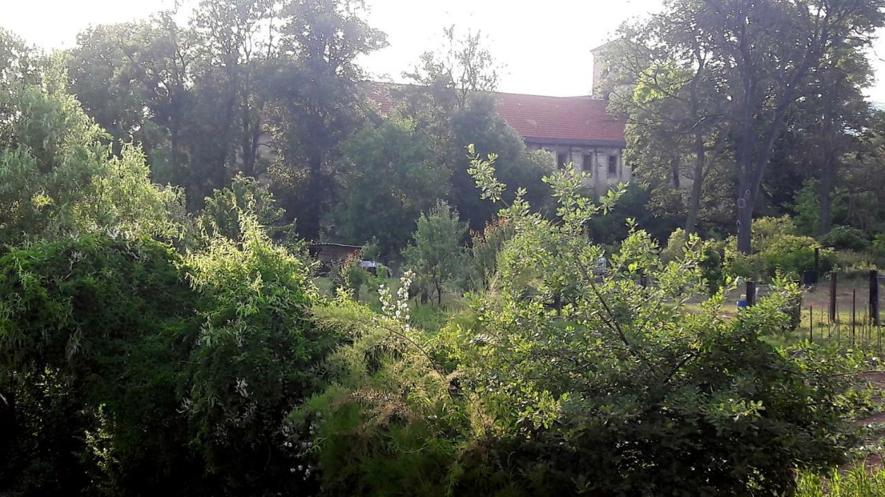 Pivovar Spitt Zahorany Guest House Litomerice Exterior photo
